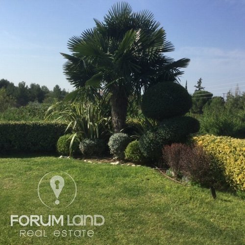Forumland Real Estate, Garden