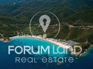Forumland Real Estate, Αγροτεμάχιο 32.000.000τ.μ.