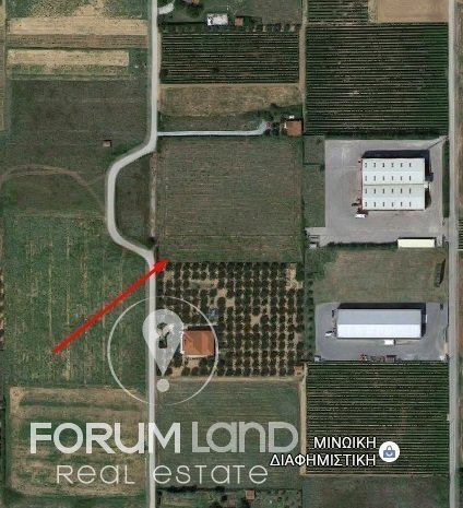 Forumland Real Estate, Αγροτεμάχιο 11.000 τ.μ.