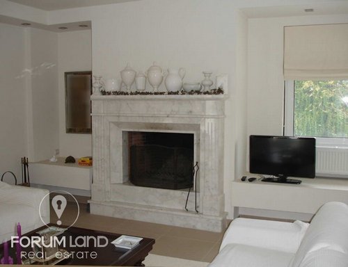 Forumland Real Estate, Fireplace