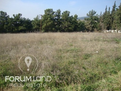 Land for Rent -  Thessaloniki East