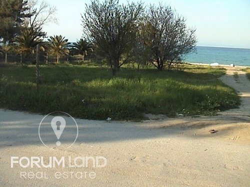 Forumland Real Estate, sea view
