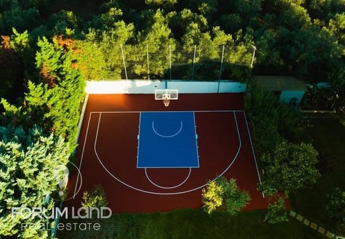 Forumland Real Estate, Γήπεδο Μπάσκετ